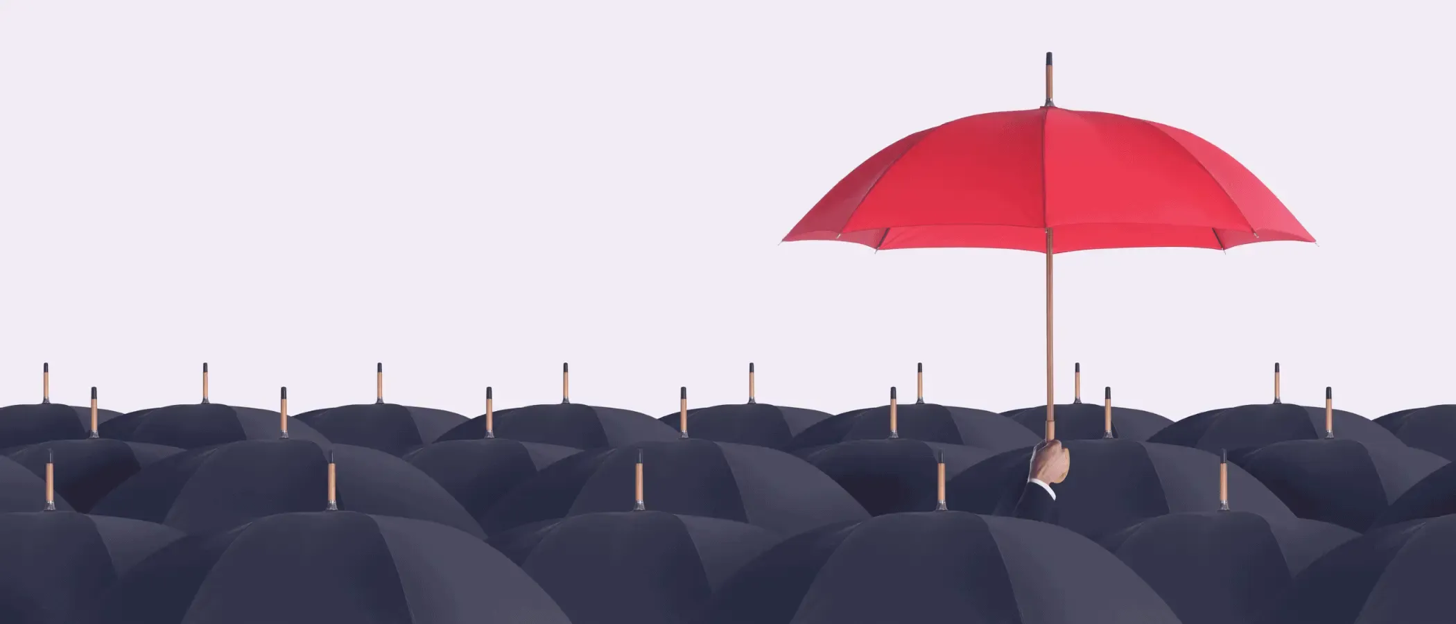 Insurance Lead Generation that Improves Converts More