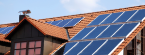 Most of Your Solar Leads_Convoso blog